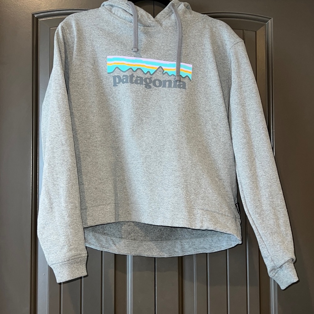 Patagonia Hoodie - Gray